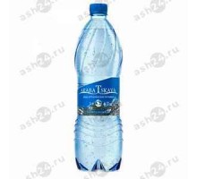 Минеральная вода АРАБАТСКАЯ газ 0,5л пэт (5303)