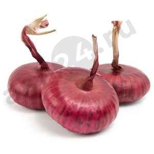 Овощи Лук ялта