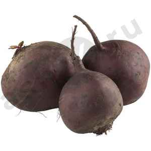 Овощи Свекла