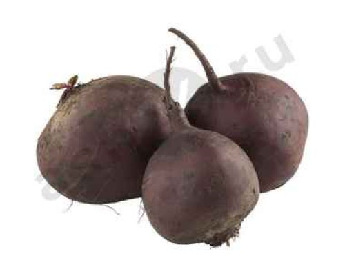 Овощи Свекла