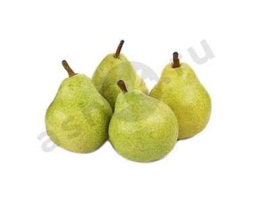Фрукты Груша