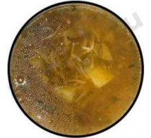 Первые блюда Суп с вермишелью (300г)