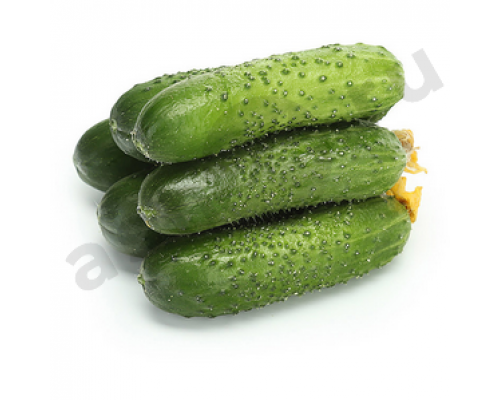 Овощи Огурцы