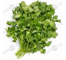 Зелень Кинза