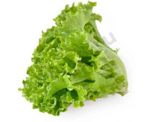 Зелень Салат