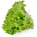 Зелень Салат