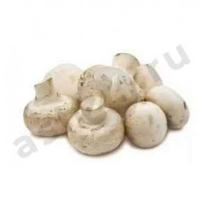 Грибы Шампиньоны