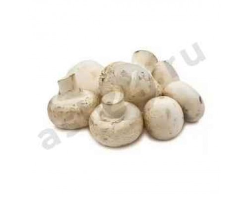 Грибы Шампиньоны