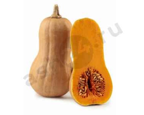 Овощи Тыква