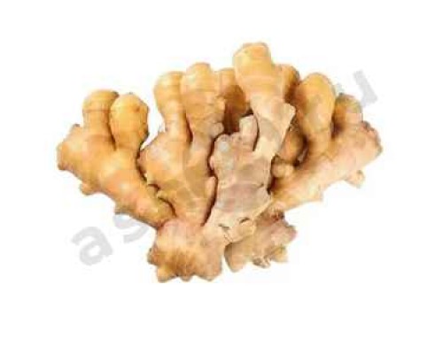 Овощи Имбирь