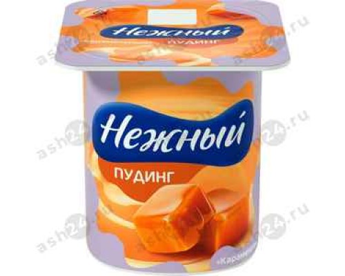 Молочные продукты Пудинг НЕЖНЫЙ карамель 100г