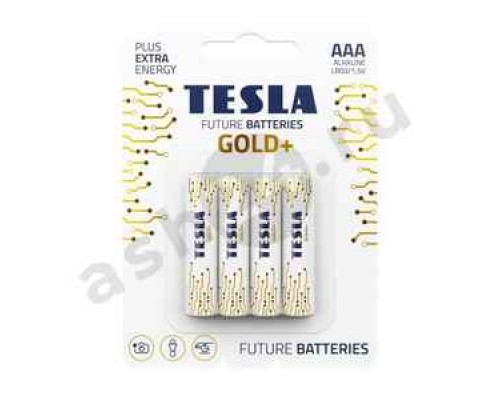 Батарейки TESLA  GOLD AAА (2264)