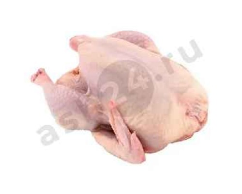 Мясо свежее Курица