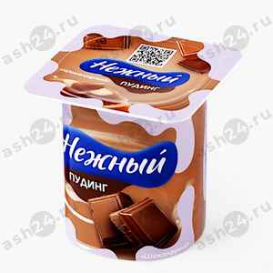 Молочные продукты Пудинг НЕЖНЫЙ шоколад 100г