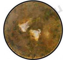 Первые блюда Суп гречневый (300г)