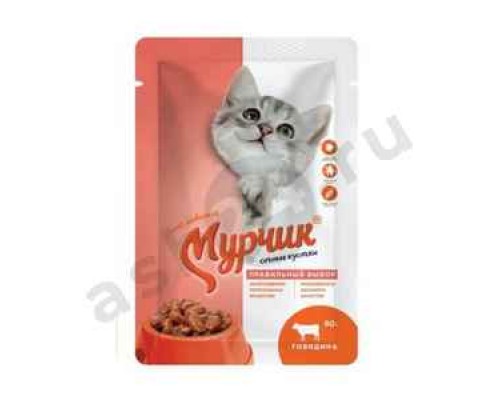 Корм для кошек МУРЧИК говядина в соусе 75г