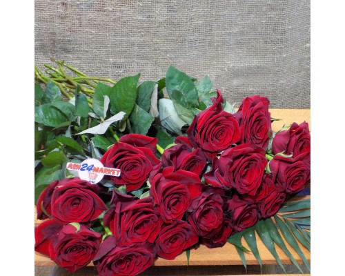 Роза гранпри (50см)