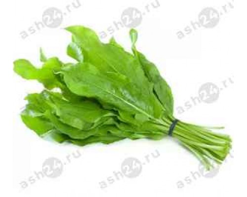 Зелень Щавель