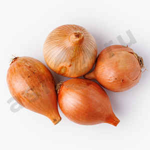 Овощи Лук