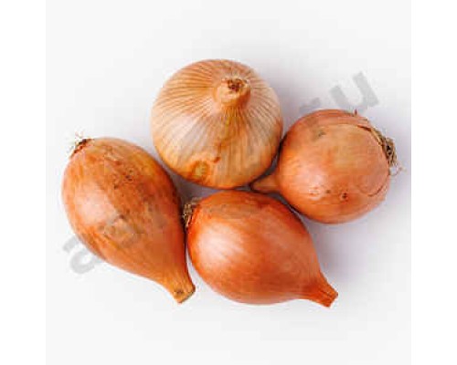 Овощи Лук
