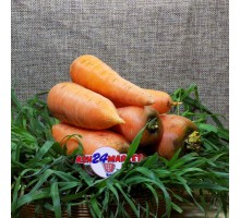 Овощи Морковь