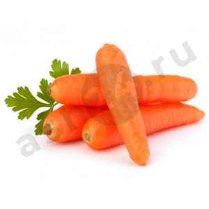 Овощи Морковь