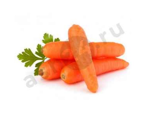 Овощи Морковь