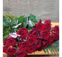 Роза гранпри (70см)