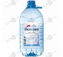 Минеральная вода ПИЛИГРИМ негаз 5л пэт